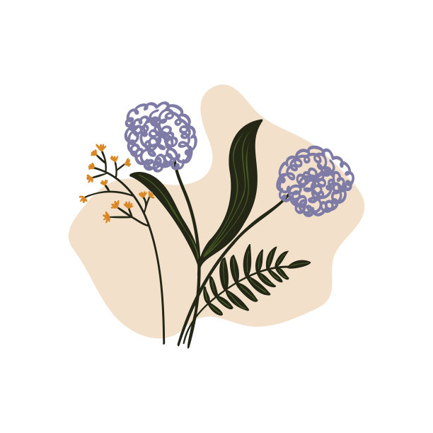 手绘葱属植物花图片下载