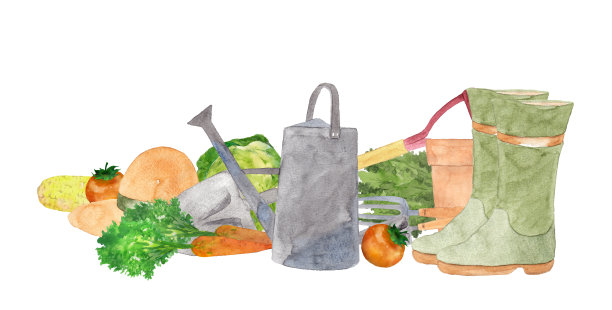 园艺水彩插图图片下载