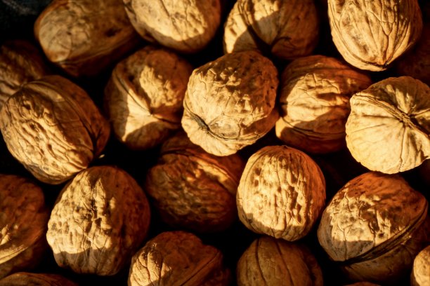 胡桃木图片下载