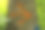 绘有箭头的树皮。树林里一棵树上的徒步标记。树干上画着橙色的箭头。图片下载