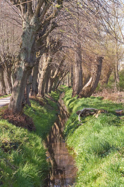 沿着水边的徒步旅行路线图片下载