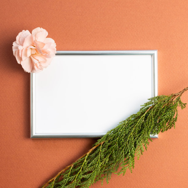 以康乃馨花和绿叶为背景的红色相框。俯视图，复制空间图片下载