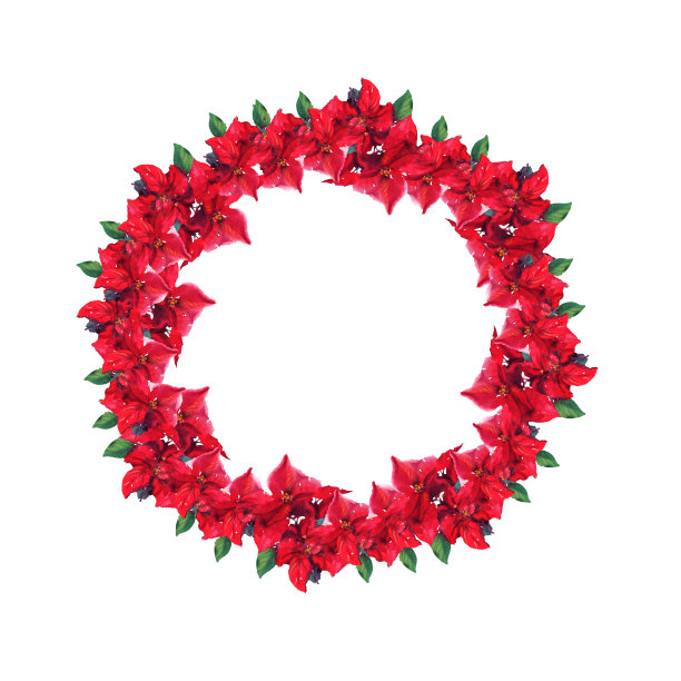 水彩花制成的花环。装饰水彩手绘插图上的白色背景。图片下载