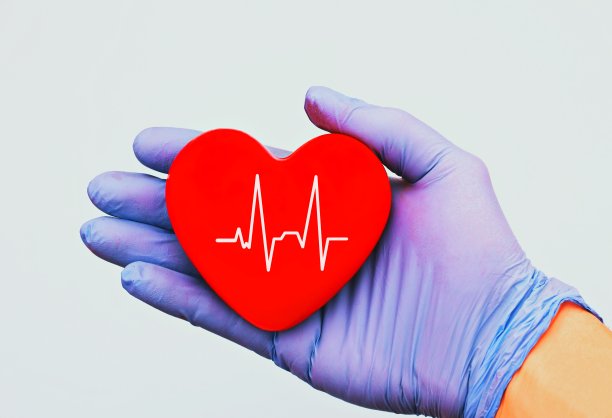 心脏的脉搏图片下载