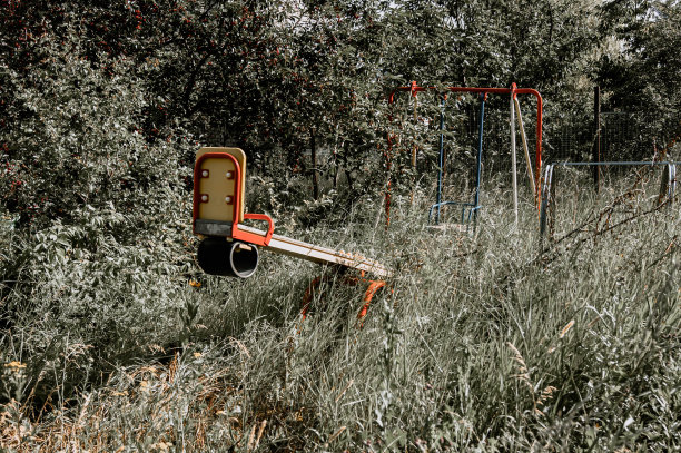 森林中央的一个杂草丛生的废弃秋千。很多草。自然接管。程式化的颜色给一个随从。图片下载