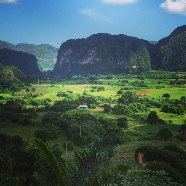 古巴-葡萄酒图片下载