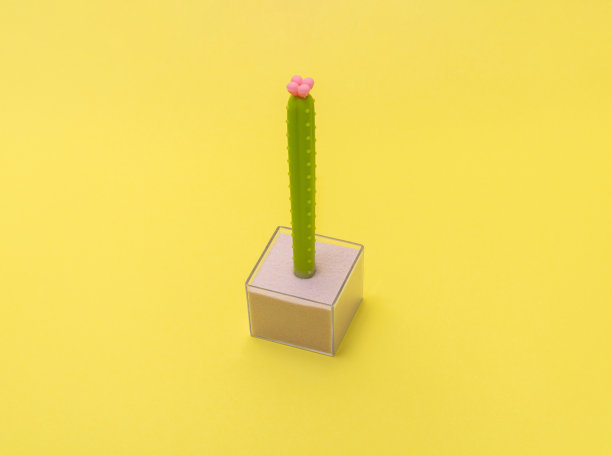 橡胶仙人掌装在一个塑料盒子里，里面填满了黄色的沙子。春天的概念。图片下载