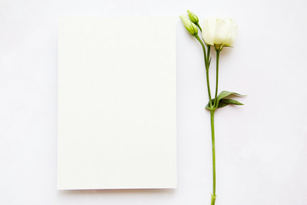 精致的流体艺术背景与粉红色的花瓣和花在圆圈。无限的概念。本空间图片下载