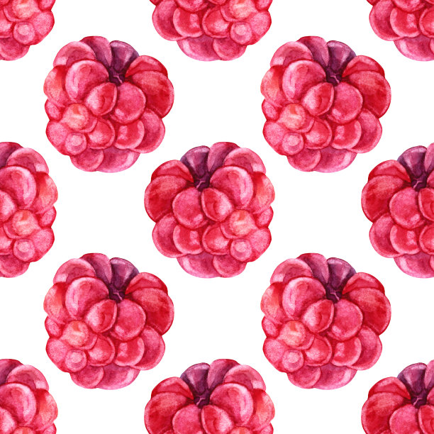 无缝图案水彩手绘覆盆子。夏季红色植物浆果。香甜新鲜的甜品。艺术创意对象菜单，贴纸，卡片，纺织品，墙纸，包装图片下载