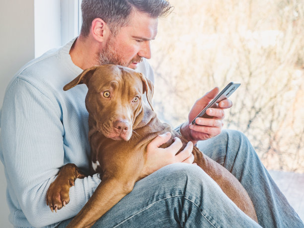 英俊的男人和可爱的小狗。特写镜头图片下载