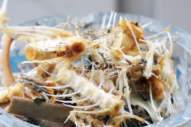 一小堆鱼骨头和吃剩的食物图片下载