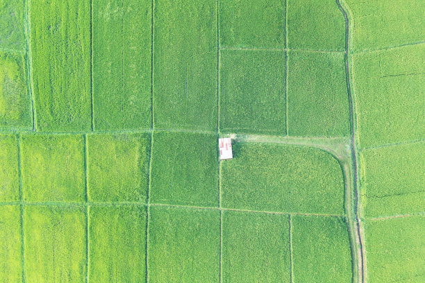 供出售或投资之绿地或绿地鸟瞰图。图片下载