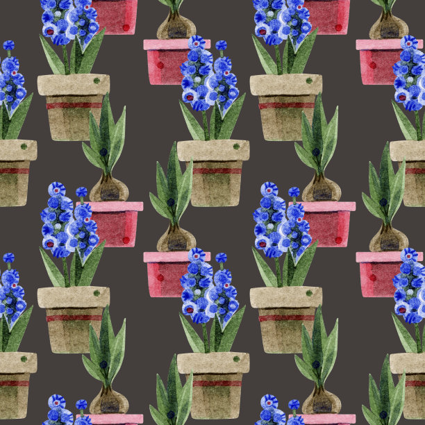 图案与盆花。一个蓝色的风信子在一个棕色的陶罐和一个郁金香在一个红色的陶瓷罐。手绘水彩插图在棕色的背景。用于纺织品、包装、花店。图片下载