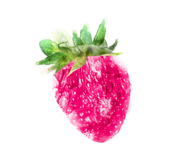 水彩草莓在白色的背景图片下载