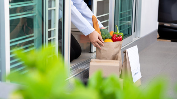 生活方式概念一位妻子回家采摘了一袋在她隔离期间送来的五颜六色的蔬菜。图片下载