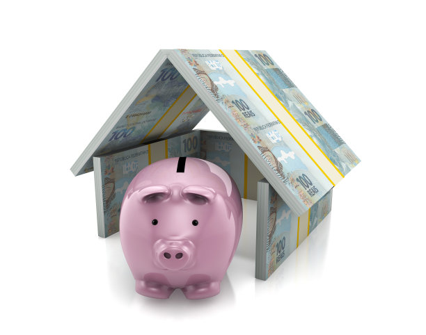 巴西真钱保险的存钱罐图片下载