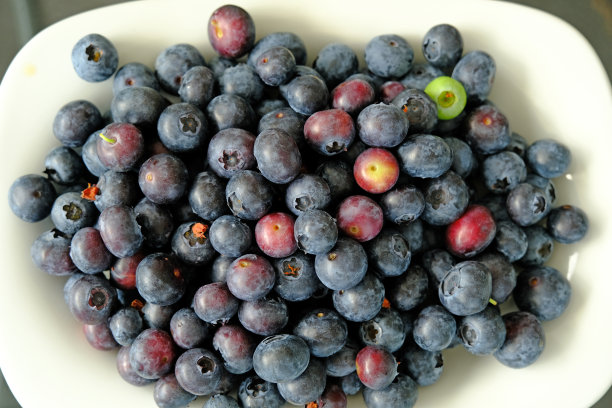 全帧近距离背景蓝莓，大组对象。图片下载