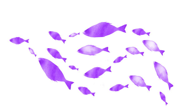 白色上一群群鱼的剪影。水彩图片下载