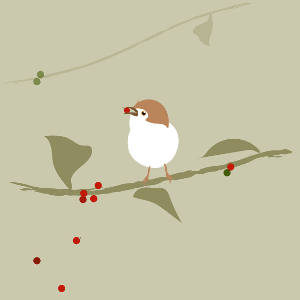 可爱的白鸟正在喂食红色的小水果。图片下载