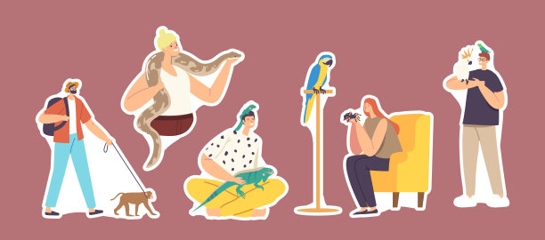 用奇异宠物蜥蜴，蛇，猴子和蜘蛛与鹦鹉设置贴纸角色。人们关心热带动物图片下载