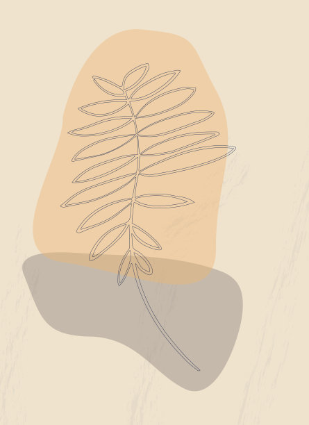 由简单形状组成的抽象模板。树枝用树叶，田野草线艺术。拼贴风格，波西米亚极简主义。柔和的颜色。矢量横幅，t恤印花和社交媒体封面图片下载