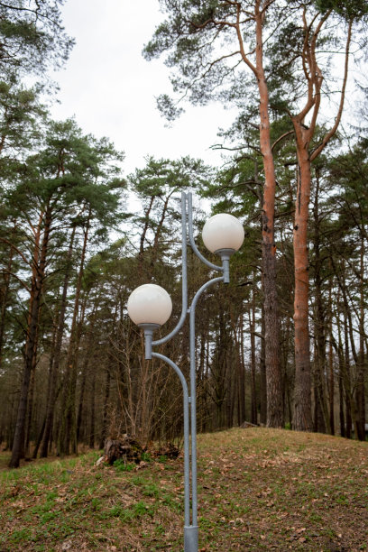 公园里的灯笼图片下载