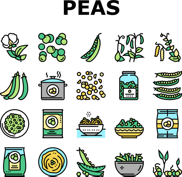豌豆豆蔬菜收集图标集图片下载