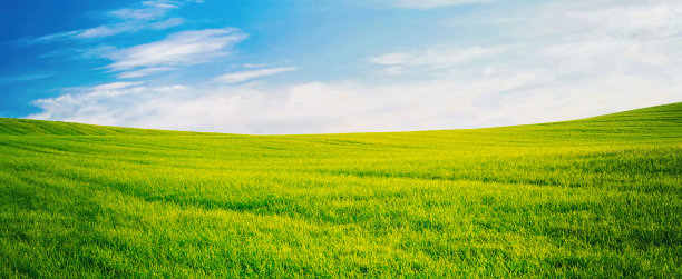 绿草如茵的草地、蓝天白云、地平线，尽收眼底的自然景观。图片下载