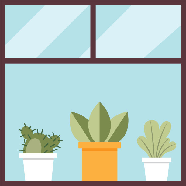 花盆内的窗户设计图片下载