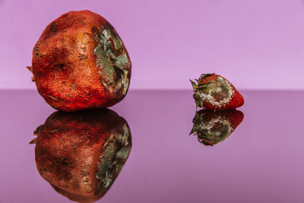 彩色背景上的腐烂水果图片下载