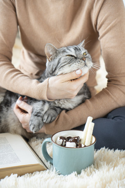 可爱的猫在女性的手中。一杯可口的咖啡，柔软的毯子上的书。舒适的家庭氛围。书中的文字无法辨认。图片下载