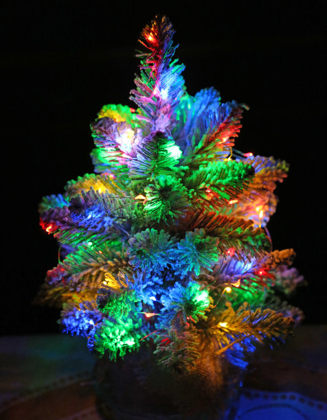 黑色背景上的圣诞树图片下载