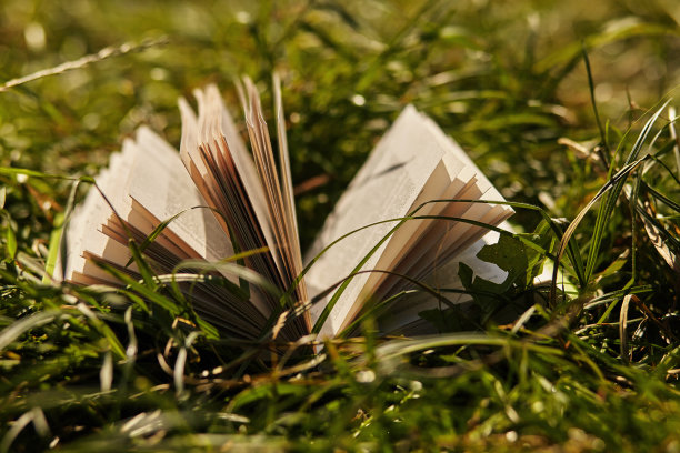 翻开的书与风景-躺在黄色的草地上日落图片下载