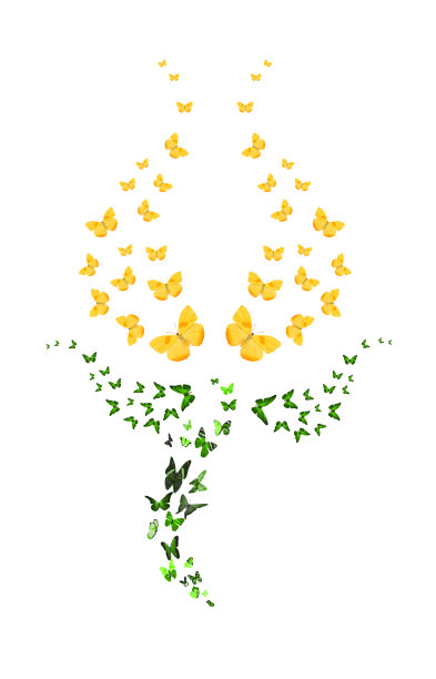 许多蝴蝶以郁金香的形式出现在白色的背景上。黄色的花蕾。热带昆虫。用于设计的彩色飞蛾图片下载