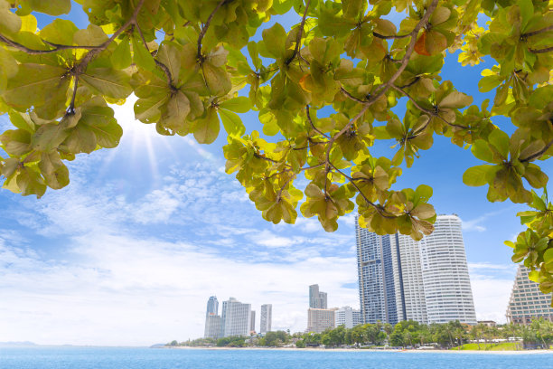 夏季沿海城市的海景图片图片下载