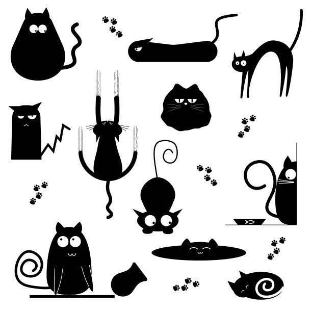 在白色背景上设置有趣的猫图片下载