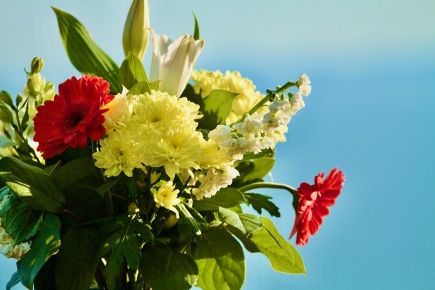 一大束色彩鲜艳的花图片下载