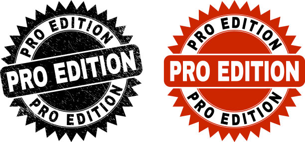 专业版黑色玫瑰密封与垃圾纹理图片下载