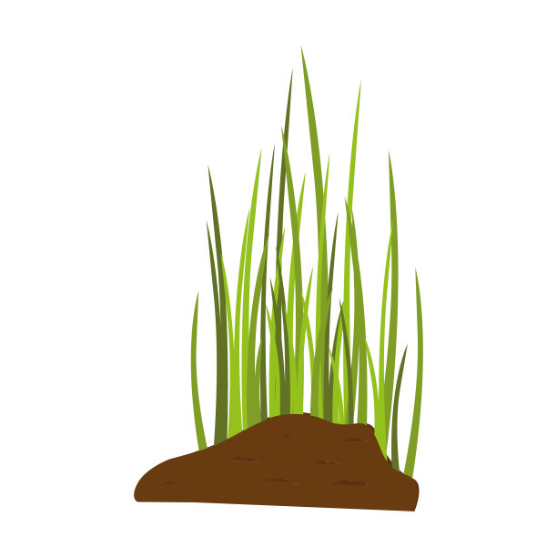 土地上的绿色植物。一种带叶子的幼芽、地上的草本植物或草的发芽过程。幼苗在土壤中的发育。生态与环境概念。矢量插图。图片下载