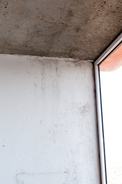 在房间库存照片的墙壁角落凝结的霉菌图片下载