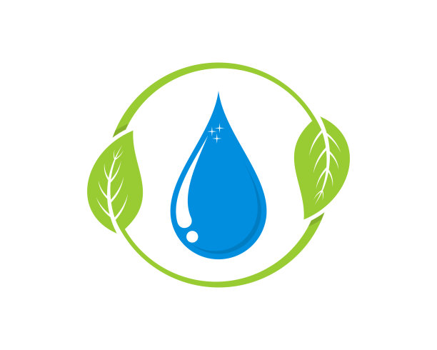 水滴在圆形的叶子上图片下载