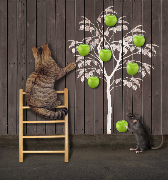 猫把青苹果挂在树上图片下载