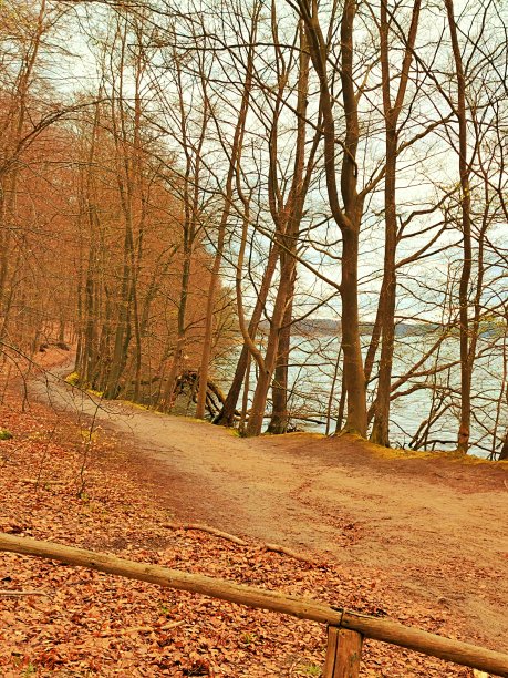 Werbellinsee的徒步小径图片下载