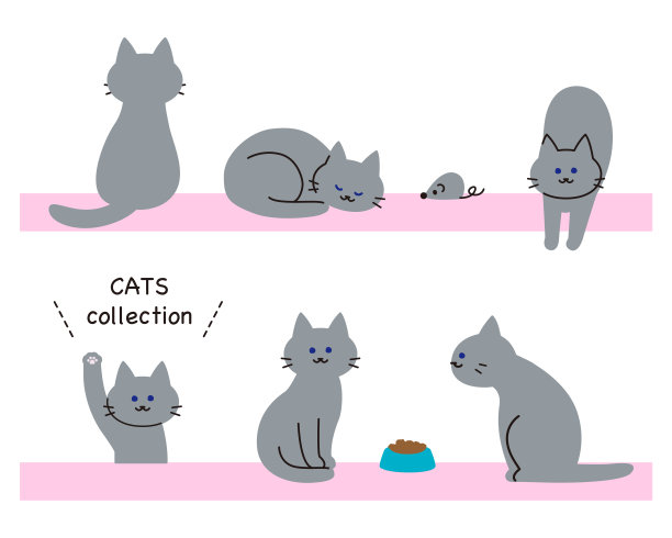 猫玩具和猫粮套装图片下载