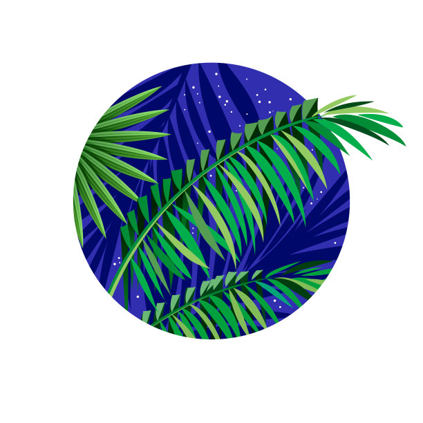 棕榈叶剪影热带图片下载