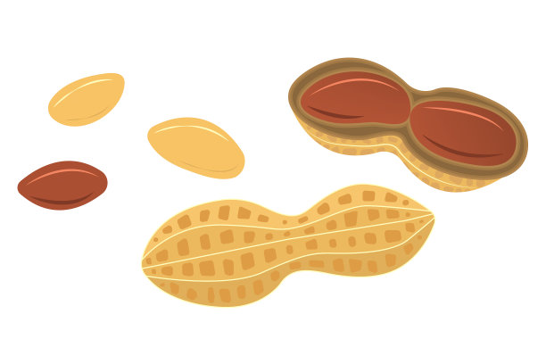 花生卡通风格的模板标签图片下载