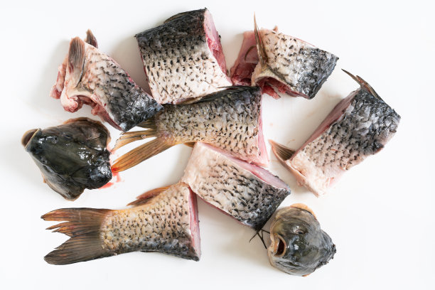 鲤鱼肉块孤立在白色的背景图片下载