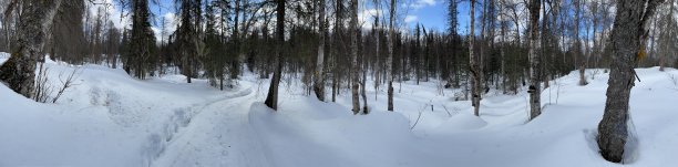 冬天的痕迹图片下载