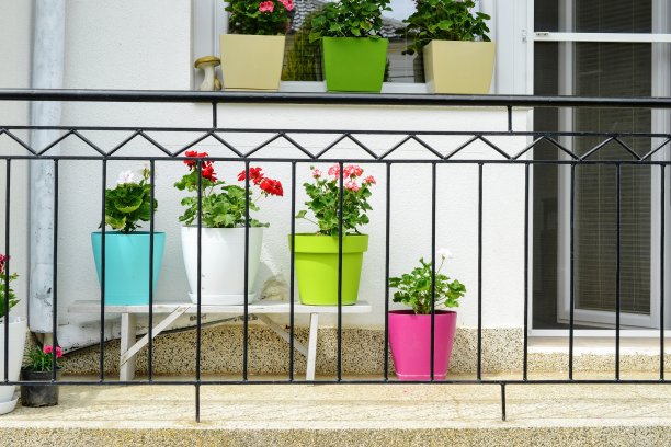 小阳台上的花盆里放着花图片下载