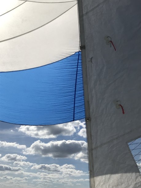 蓝白帆图片下载